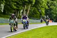 cadwell-no-limits-trackday;cadwell-park;cadwell-park-photographs;cadwell-trackday-photographs;enduro-digital-images;event-digital-images;eventdigitalimages;no-limits-trackdays;peter-wileman-photography;racing-digital-images;trackday-digital-images;trackday-photos